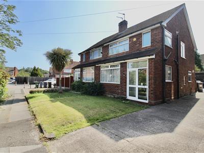 Picture 20